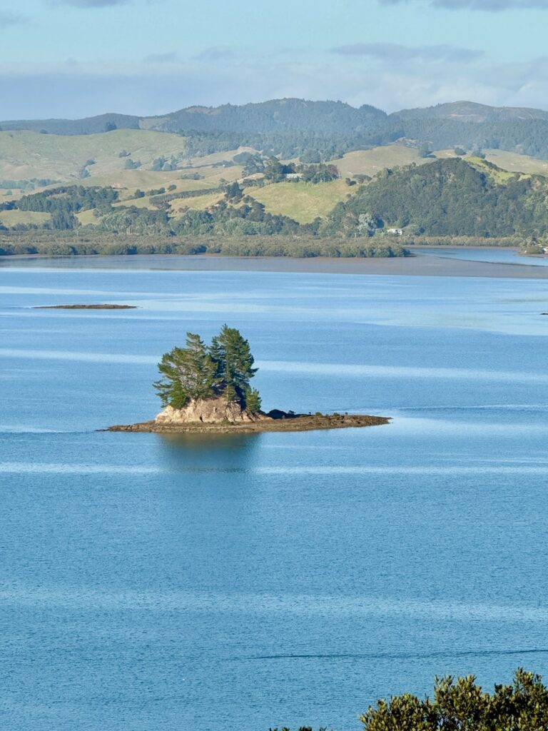 Scenic island in Whangaroa Harbour on a clear day